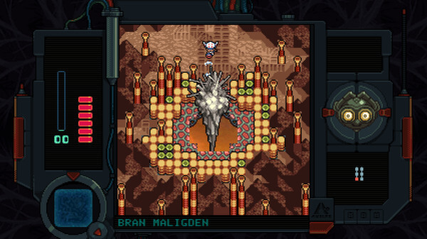 A screenshot of one of the game's 2D sections.